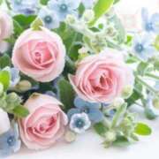 ヒメ日記 2026/03/27 21:30 投稿 まりえ ニューヨークニューヨーク