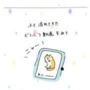 ヒメ日記 2026/04/24 11:30 投稿 まりえ ニューヨークニューヨーク