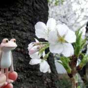 ヒメ日記 2025/02/23 12:15 投稿 あゆみ ニューヨークニューヨーク