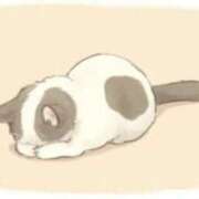 ヒメ日記 2025/03/13 20:46 投稿 あゆみ ニューヨークニューヨーク