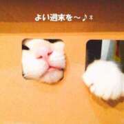 ヒメ日記 2025/05/24 11:15 投稿 あゆみ ニューヨークニューヨーク