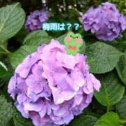 ヒメ日記 2025/06/17 12:15 投稿 あゆみ ニューヨークニューヨーク