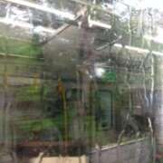 ヒメ日記 2025/08/08 17:30 投稿 あゆみ ニューヨークニューヨーク