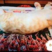 ヒメ日記 2025/09/13 12:00 投稿 あゆみ ニューヨークニューヨーク