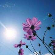 ヒメ日記 2025/10/10 12:30 投稿 あゆみ ニューヨークニューヨーク