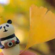 ヒメ日記 2025/10/14 11:30 投稿 あゆみ ニューヨークニューヨーク