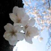 ヒメ日記 2026/02/04 11:30 投稿 あゆみ ニューヨークニューヨーク