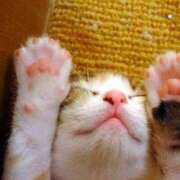 ヒメ日記 2026/02/22 12:15 投稿 あゆみ ニューヨークニューヨーク