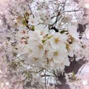 ヒメ日記 2026/03/29 11:45 投稿 あゆみ ニューヨークニューヨーク