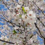 ヒメ日記 2026/04/02 19:45 投稿 あゆみ ニューヨークニューヨーク