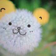 ヒメ日記 2026/04/05 11:30 投稿 あゆみ ニューヨークニューヨーク