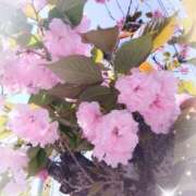 あゆみ いい陽気♪ ニューヨークニューヨーク