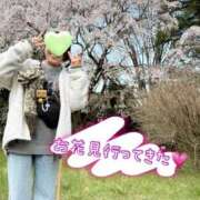 ヒメ日記 2025/03/31 14:54 投稿 あみ 渋谷 風俗 いきなりビンビン伝説