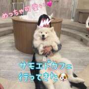 ヒメ日記 2025/12/23 20:59 投稿 あみ 渋谷 風俗 いきなりビンビン伝説