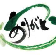 ヒメ日記 2024/12/14 14:41 投稿 椿 ニューヨークニューヨーク