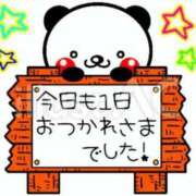 ヒメ日記 2024/12/22 14:50 投稿 椿 ニューヨークニューヨーク