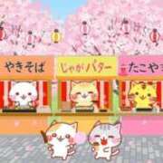 ヒメ日記 2025/04/05 09:42 投稿 椿 ニューヨークニューヨーク