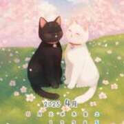 ヒメ日記 2025/04/05 16:01 投稿 椿 ニューヨークニューヨーク