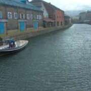 ヒメ日記 2025/04/19 09:10 投稿 椿 ニューヨークニューヨーク