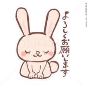 ヒメ日記 2025/05/10 09:52 投稿 椿 ニューヨークニューヨーク