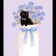 ヒメ日記 2025/05/24 08:02 投稿 椿 ニューヨークニューヨーク