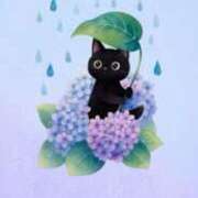 ヒメ日記 2025/05/31 07:06 投稿 椿 ニューヨークニューヨーク