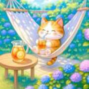 ヒメ日記 2025/06/07 08:00 投稿 椿 ニューヨークニューヨーク