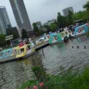 ヒメ日記 2025/06/14 09:25 投稿 椿 ニューヨークニューヨーク