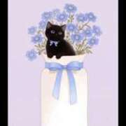 ヒメ日記 2025/06/14 14:47 投稿 椿 ニューヨークニューヨーク