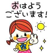 ヒメ日記 2025/06/21 09:28 投稿 椿 ニューヨークニューヨーク