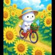 ヒメ日記 2025/07/05 19:54 投稿 椿 ニューヨークニューヨーク