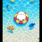 ヒメ日記 2025/07/12 08:45 投稿 椿 ニューヨークニューヨーク