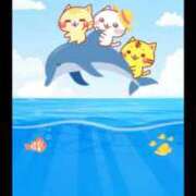 ヒメ日記 2025/07/19 09:42 投稿 椿 ニューヨークニューヨーク