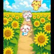 ヒメ日記 2025/08/02 16:07 投稿 椿 ニューヨークニューヨーク