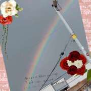 ヒメ日記 2025/10/11 09:03 投稿 椿 ニューヨークニューヨーク