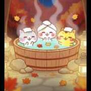 ヒメ日記 2025/11/01 09:37 投稿 椿 ニューヨークニューヨーク