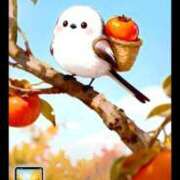 ヒメ日記 2025/11/01 14:26 投稿 椿 ニューヨークニューヨーク