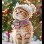 ヒメ日記 2025/12/13 08:01 投稿 椿 ニューヨークニューヨーク