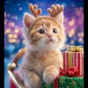 椿 セット完了です ニューヨークニューヨーク