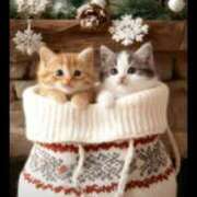 椿 おつかれさまです ニューヨークニューヨーク