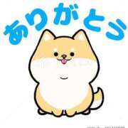 ヒメ日記 2026/01/24 15:52 投稿 椿 ニューヨークニューヨーク