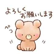 ヒメ日記 2026/02/07 09:32 投稿 椿 ニューヨークニューヨーク