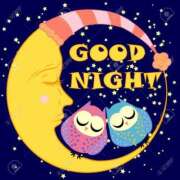 椿 ありがとうございます ニューヨークニューヨーク