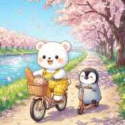 椿 セット完了です ニューヨークニューヨーク