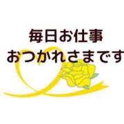 ヒメ日記 2026/03/14 09:44 投稿 椿 ニューヨークニューヨーク