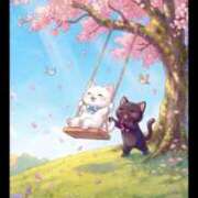 ヒメ日記 2026/04/04 09:13 投稿 椿 ニューヨークニューヨーク