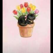 椿 ありがとうございました ニューヨークニューヨーク