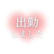 ヒメ日記 2025/02/20 09:49 投稿 夢 ニューヨークニューヨーク