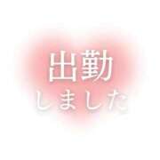 ヒメ日記 2025/03/17 09:50 投稿 夢 ニューヨークニューヨーク
