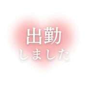 ヒメ日記 2025/06/14 09:53 投稿 夢 ニューヨークニューヨーク